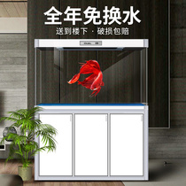 Xilong Fish Cylinder Ecological Lazy People No Sub-Filtration Under the Furry Shui Clan Glass