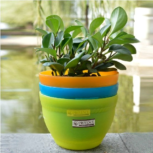 正品爱丽思iris环保pp树脂透明碗圆型花盆花卉绿植碗盆彩色简约盆