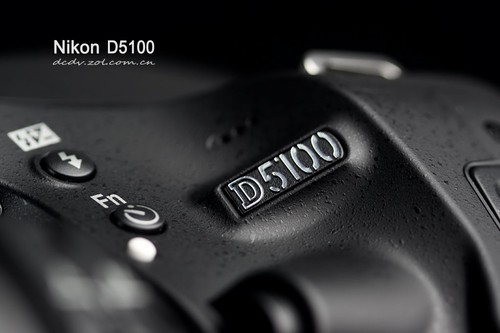 Вход -Уровень SLR обновления шедевров Nikon D5100 Подробная оценка