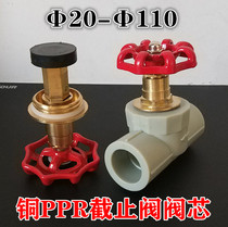 PPR gray copper lifting shut-off valve spool gate valve valve 20 25 32 40 50 63 75 90 110