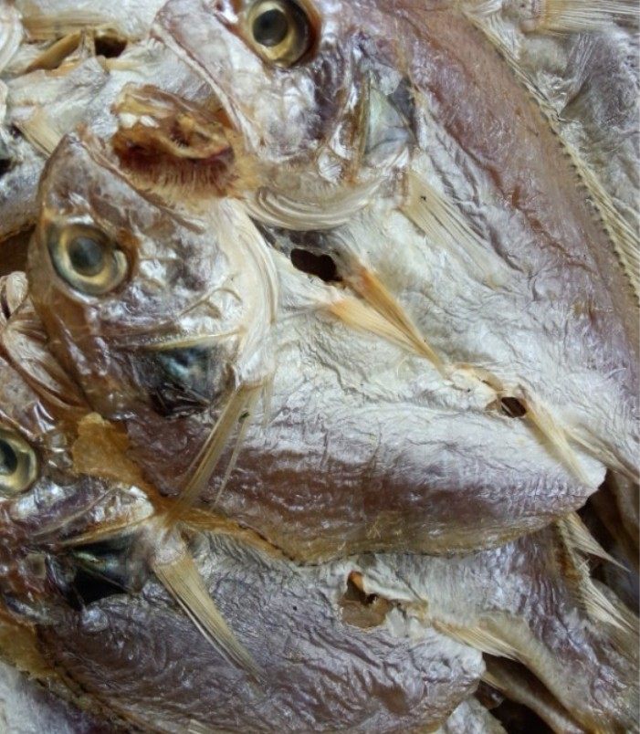 温州特产咸白鲞小黄鱼鲞咸鱼干鱼干海鲜干货500g(朱梅)