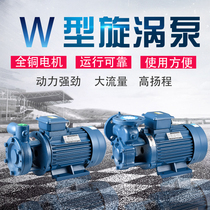 W-type single-stage vortex centrifugal pump high-pressure boiler feed water pump 380V horizontal high-lift clear water booster pump