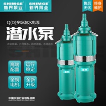 NT Dry Pumping Water Pump 220V Farmland Irrigation Agricultural Domestic Centrifugal Pump Well Used Water Fetch High Lift Submersible Pump