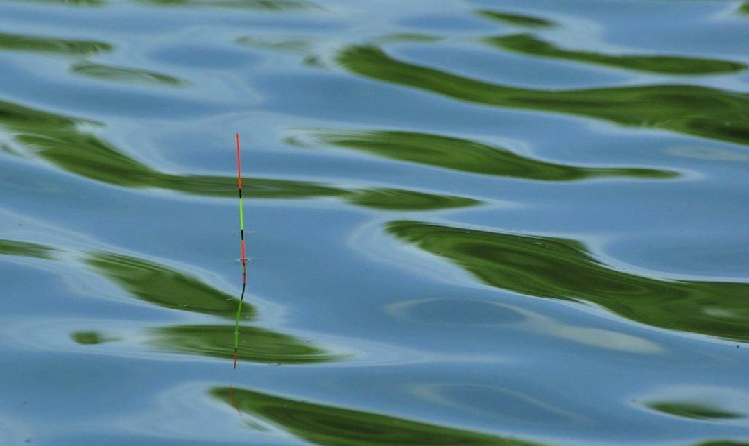 讲析浮漂浮力的变化的影响