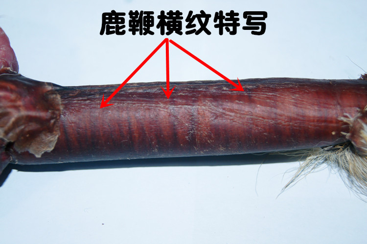 放心好店吉林鹿鞭正宗马鹿鞭整枝梅花鹿鞭