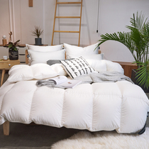 100 95% white goose down duvet northeast big velvet autumn winter warm cotton quilt double quilt thick quilt
