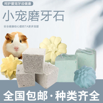 Little hamster Golden Bear Flower Branch flying squirrel Chinchilla droll ear dwarf rabbit molar stone small pet purple warehouse three-line supplies
