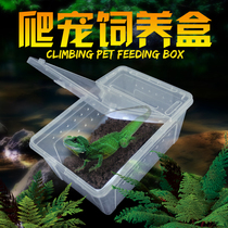 One-man creeper snake Python spider Gecko Scorpion Centipede horned frog Gecko Beetle insect feeding box