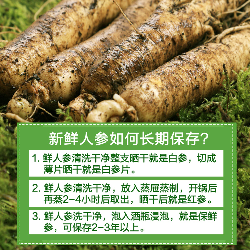 小土哥 鲜人参 单支50g真空包装 东北特产长白山新鲜带土人参产品展示图4