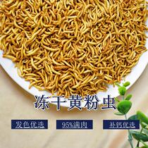 Yellow Pink Worm Bread Worm Barley Worm Freeze-dried Hamster Turtle Hair Color Tonic Calcium