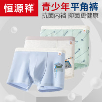 Boy antibacterial bacteriostatic breathable cotton underwear adolescent development students flat horns fat childrens four-corner shorts