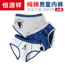 Boys underwear breifs cotton children summer shorts boys boys baby children 12-15 years old thin