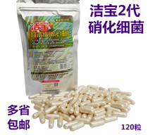 The second generation of white Jiebao concentrated nitrifying bacteria complex EM bacteria aquarium dry powder digestive bacteria capsules