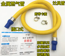 Household natural gas pipe liquefied gas pipe gas pipe gas stove pipe water heater metal corrugated hose flame retardant pipe
