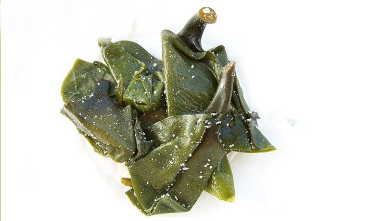 荣成盐渍海带头 海带根 海带结 新鲜 海带丝 非干货厚海带5斤包邮_双