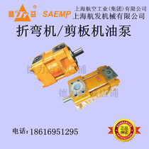 NT4 NB4 NBZ4-G40F 50F 63F NBZ5-G80F 100F 125F Shanghai hangfa gear pump