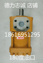 Bending oil NT2-D10F NT2-D10F D12F D16F D25F D32F D32F meshing gear pump