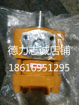 Shanghai Fengyuan brand NT3-D25F-3 D20F D32F NB3-D25F NB2 internal gear pump