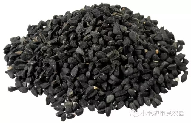 无农药,无化肥驴家2018年自产洋葱 生态自然种植,3斤起拍