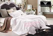Export Canada Peninsula five-star hotel natural 100 mulberry silk quilt quilt quilt 9kg promotion