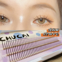A- type fairy hair false eyelashes eyelashes fairy supernatural simulation grafting super soft single cluster lower eyelash paste set