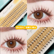 Scarecrow false eyelashes single cluster supernatural simulation fairy hair single root fairy grafting suit own eyelashes