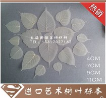 Gold Powder Imported Leaf Specimen Dry Leaf Art Lacquer Decorative Leaf Art Paint Tools Leaf