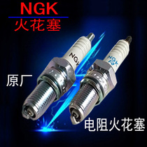 Annihilate 2 Cheetah M5 Ling M4MX6CQR Spark Plug NGK Spark Plug D8EA DR8EA Resist Spark Plug