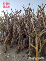 Natural modeling tree Clothing decoration tree Pomegranate tree Dried branches Peeled tree Landscaping tree Ancient tree Window lucky tree