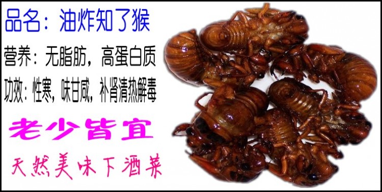 蝉蜕中富含甲壳素等物质,具有疏风散热,透疹,补肾,清热,解毒的功效