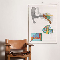 German 1970s vintage design decoration painting vintage ear structure Flat design Turetro decoration