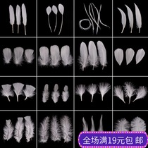 A variety of diy accessories material feather wedding decoration White Feather Turkey feathers
