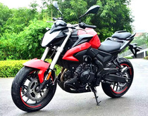 12V Motorcycle Flyer Lithium Battery Longxin Promise LX650 CR9 LX500R LX500R Promise 300 CR6 Universal