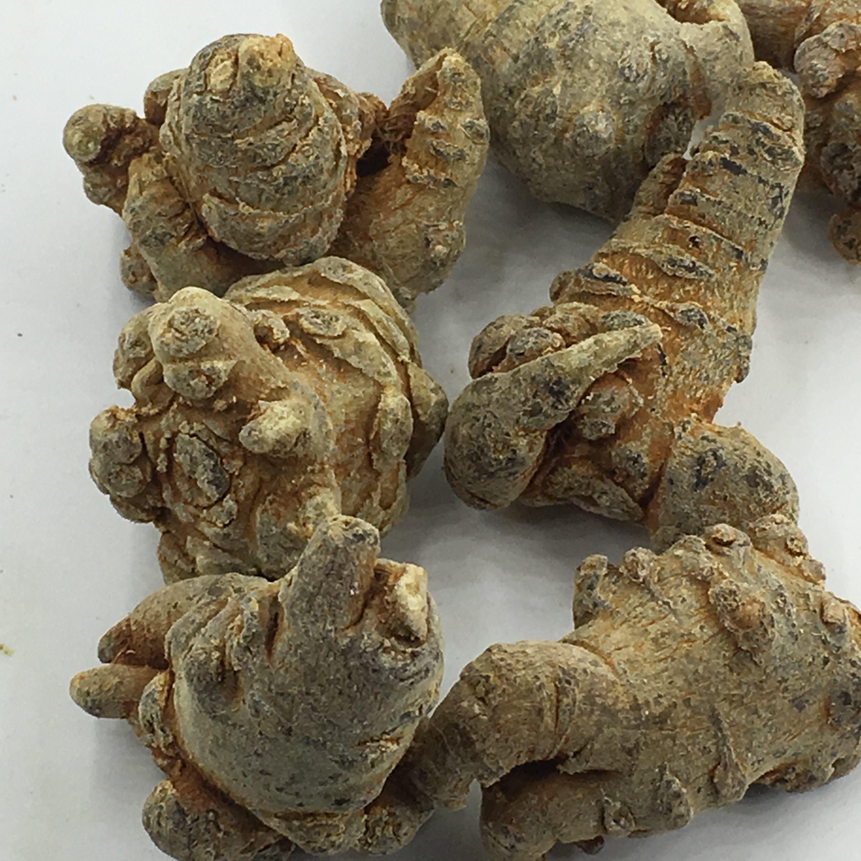 云南文山五年三七滑头子三七 田七20头30头40头500克免费打粉切片