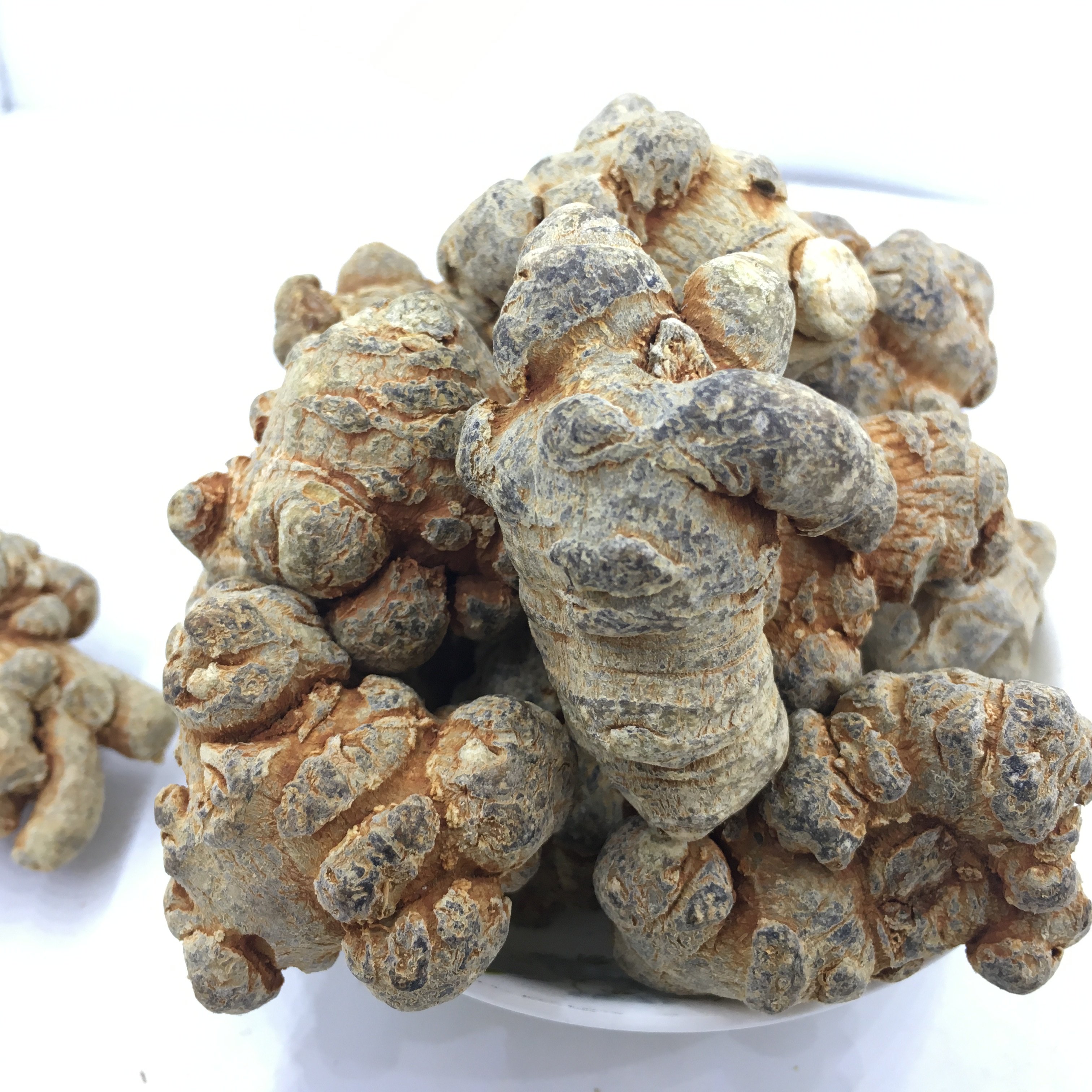 云南文山五年三七滑头子三七 田七20头30头40头500克免费打粉切片