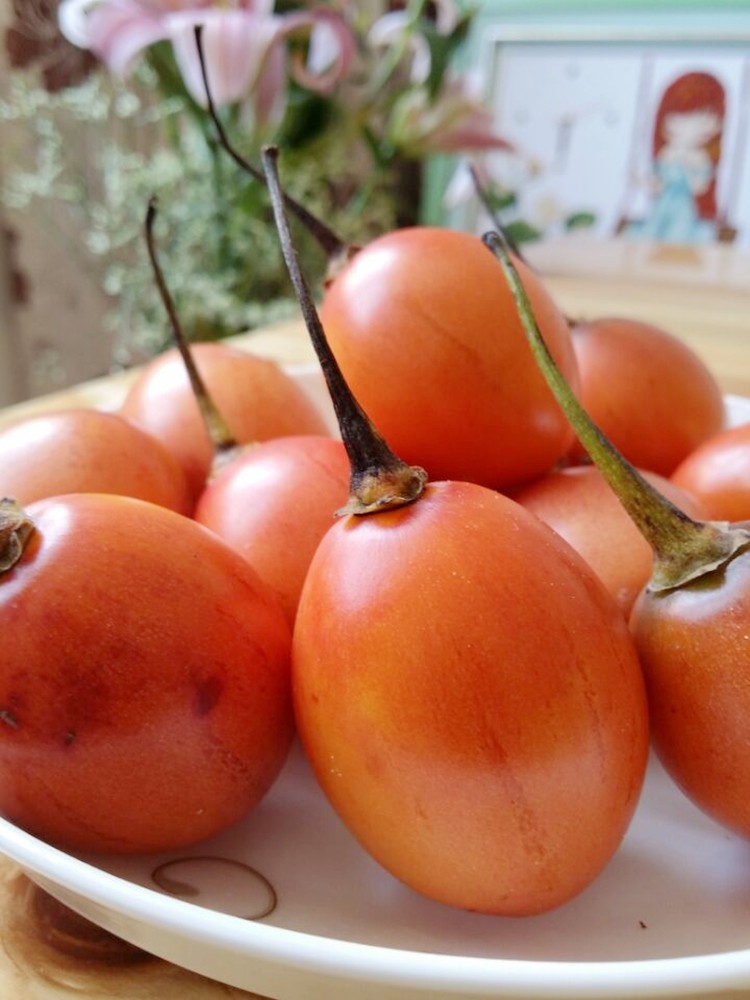 3斤云南德宏新鲜洋酸茄野生老品种大树番茄洋鸡蛋拌凉菜小菜包邮