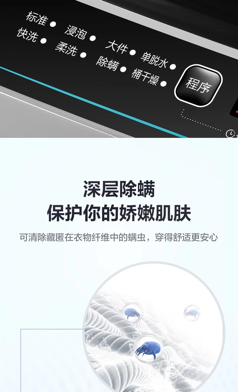 Máy giặt Littleswan / Little Swan TB80V23DB gia đình hoàn toàn tự động Cánh quạt chuyển đổi tần số thông minh 8 kg - May giặt