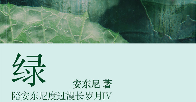 东尼度过漫长岁月4 安东尼新书青春励志暖心治