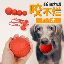 Dog Toys Ball Labrador Alaska Bite-Resistant Dog Bite Ball Puppy Training Pet Supplies