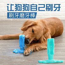 Dog toy Molar stick Dog play bite-resistant tooth brushing Golden Retriever Labrador Puppy Two months Pet supplies