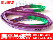 Supply lifting flat sling double buckle pickling sling flat lifting belt industrial driving sling double buckle lifting belt