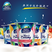 Ausita yogurt Greek flavor yogurt childrens snacks nutritious and healthy breakfast