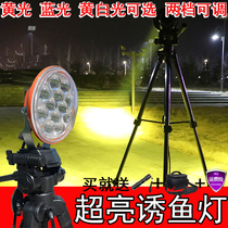 Crucian carp night fishing lamp Fishing lamp Xenon lamp Super bright 12V LED lamp 200W high power blue warm light lure fish lamp