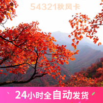 54321 Autumn Wind Card(9-10T)