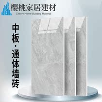 Negative ion whole body plate all porcelain tile 400x800 living room wall tile kitchen bathroom wall tile FZ8404