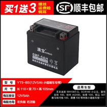 YTX5L - BS motorcycle dry battery Peak Honda 100 Little Princess delights Yamaha 100 Chocolate Battery