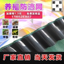 Shrimp Fish Pond Small Lobster Anti-Escape Mesh Breeding Support Rod Frog Chia Fish Enclosure Nets Crab Anti-Escape Film Plate Netting Fishing Nets