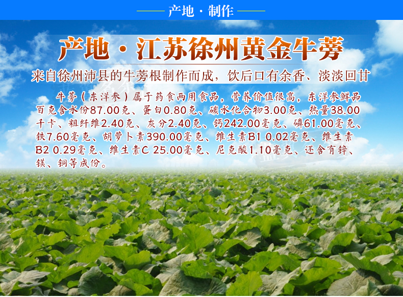 蓝翼黄金牛蒡茶500g/2盒 正品徐州牛旁茶牛膀旁牛磅片牛蒡根茶叶