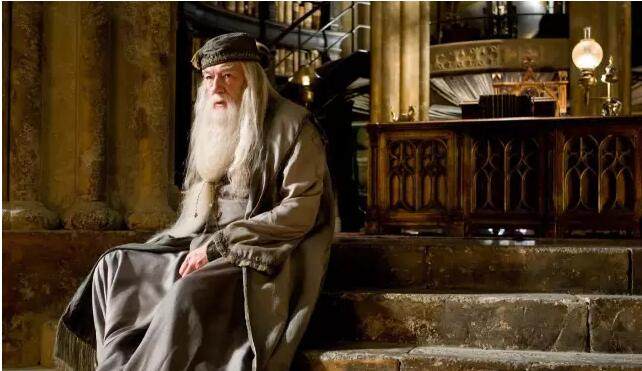 guide (harry potter cinematic guide) hardcover 哈利波特人物影集