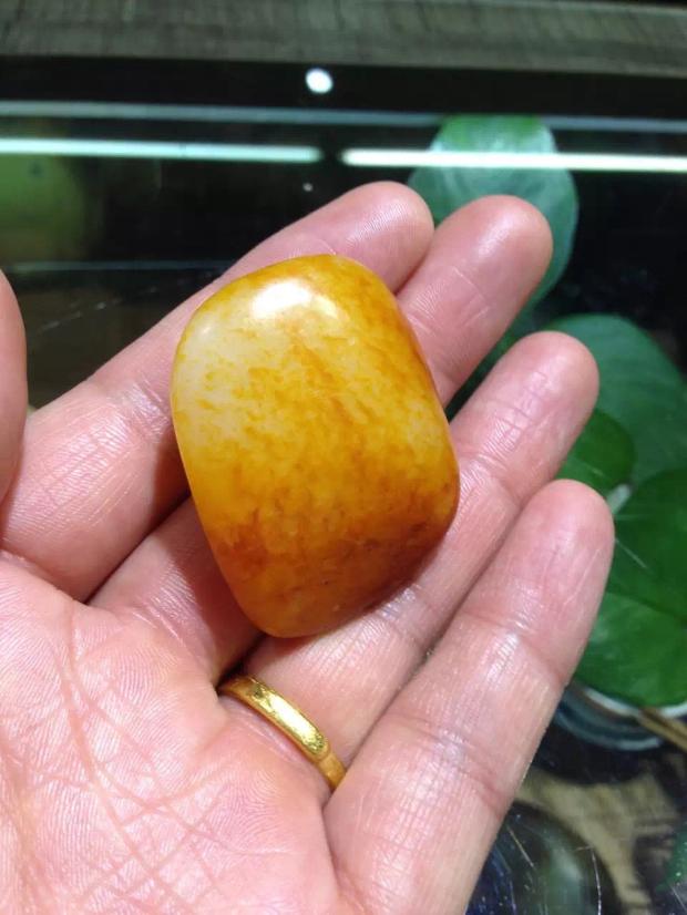 新疆和田玉金黄皮籽料原石挂件【包金籽】